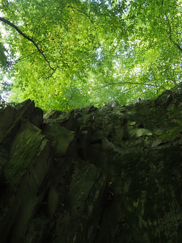 Poli foglarovskou fotografii - Ale Deutsch